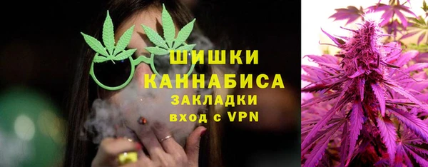 хмурый Долгопрудный